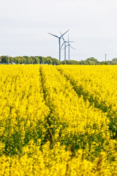 Větrné elektrárny krajinu — Stock fotografie