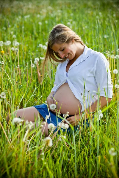 Mujer embarazada sentada en el campo verde —  Fotos de Stock