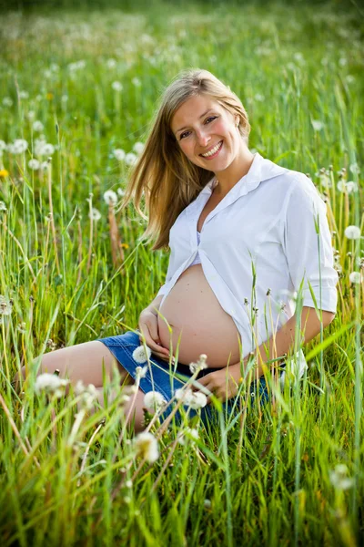 Donna incinta seduta sul campo verde — Foto Stock
