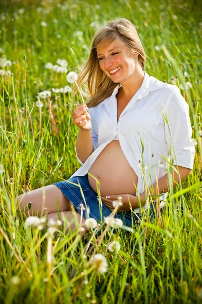 Беременная женщина сидит на зеленом поле — стоковое фото
