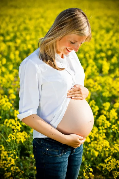 Беременная женщина сидит на зеленом поле — стоковое фото