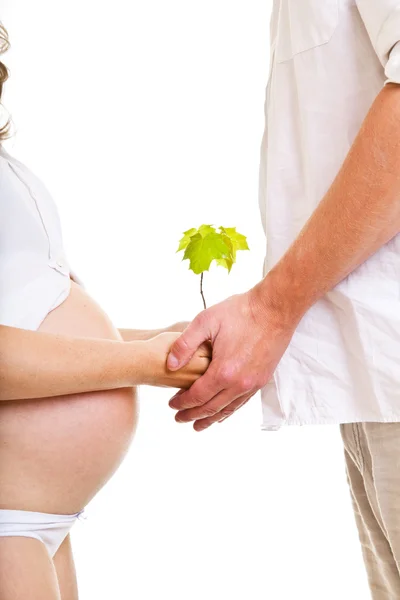 Έγκυος γυναίκα με άνδρα και μικρό φυτό — Φωτογραφία Αρχείου