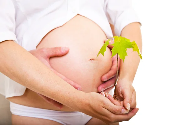 Mujer embarazada con hombre y planta pequeña —  Fotos de Stock