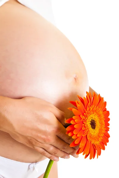 Zwangere vrouw houden gerbera bloem geïsoleerd op wit — Stockfoto