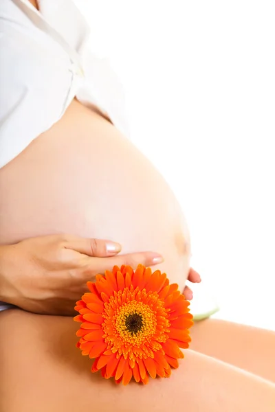 Έγκυος γυναίκα που κρατά λουλούδι ζέρμπερα απομονωθεί σε λευκό — Φωτογραφία Αρχείου