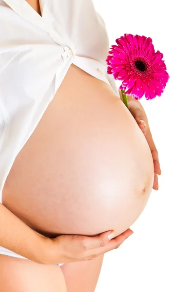 Mujer embarazada sosteniendo flor de gerberas aislada en blanco — Foto de Stock