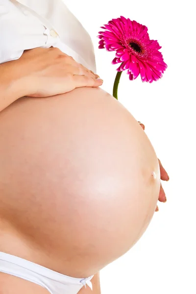Έγκυος γυναίκα που κρατά λουλούδι ζέρμπερα απομονωθεί σε λευκό — Φωτογραφία Αρχείου