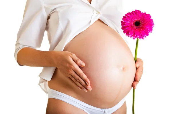 Mujer embarazada sosteniendo flor de gerberas aislada en blanco —  Fotos de Stock