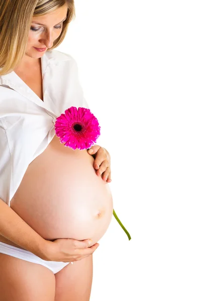 Schwangere hält Gerbera-Blume isoliert auf weiß — Stockfoto