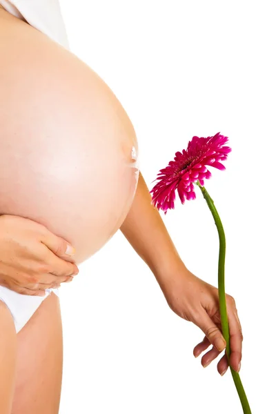 Gravid kvinna med gerbera blomma isolerad på vit — Stockfoto
