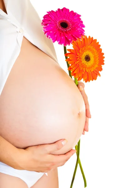 Pregnant woman holding gerbera flower isolated on white — Zdjęcie stockowe