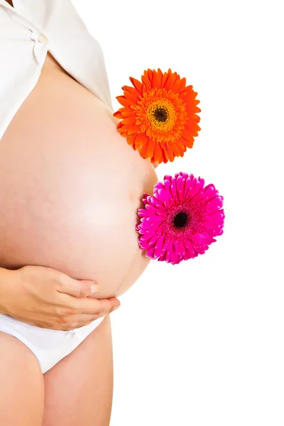 Beyaz izole gerbera çiçek tutan hamile kadın — Stok fotoğraf
