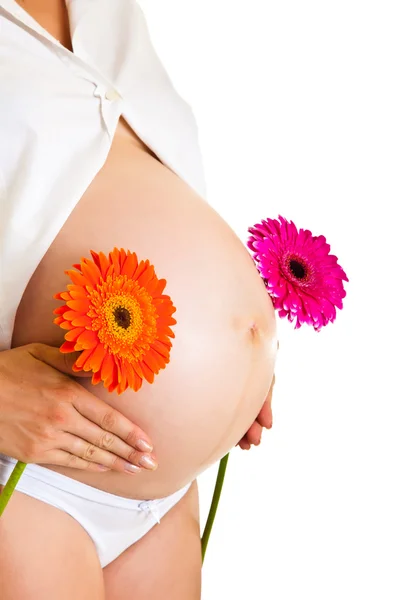 Schwangere hält Gerbera-Blume isoliert auf weiß — Stockfoto