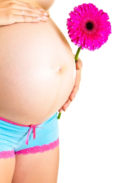 Zwangere vrouw houden gerbera bloem geïsoleerd op wit — Stockfoto