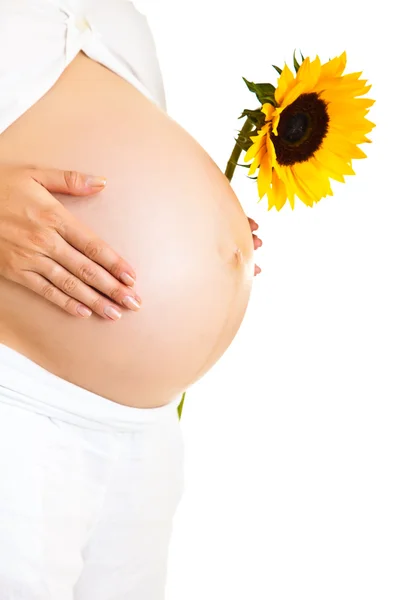Kobieta w ciąży gospodarstwa słonecznika na białym tle — Zdjęcie stockowe
