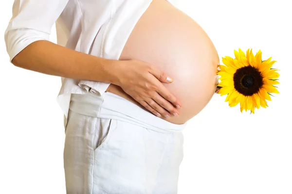 Schwangere hält Sonnenblume isoliert auf weißem Grund — Stockfoto