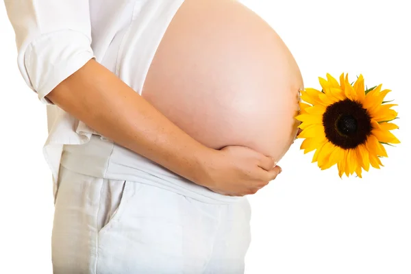 Zwangere vrouw met zonnebloem op witte geïsoleerd — Stockfoto