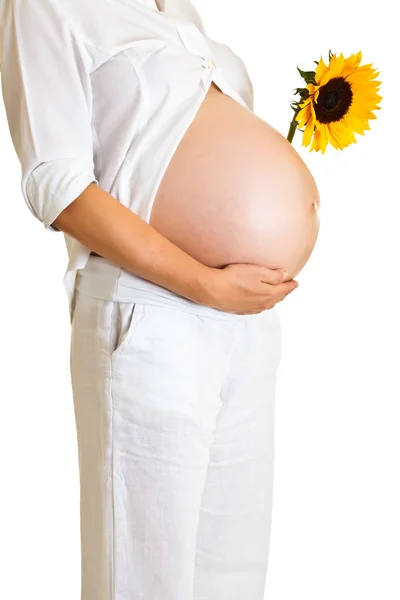 Terhes nő, gazdaság, elszigetelt fehér napraforgó — Stock Fotó