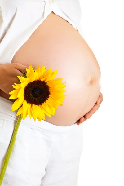 Mulher grávida segurando girassol isolado em branco — Fotografia de Stock
