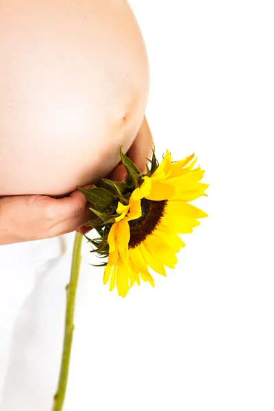 Těhotná žena držící slunečnice izolovaných na bílém — Stock fotografie