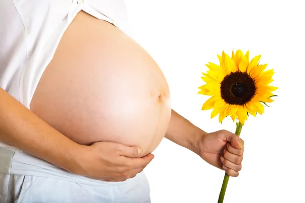 白で隔離されるヒマワリを保持している妊娠中の女性 — ストック写真