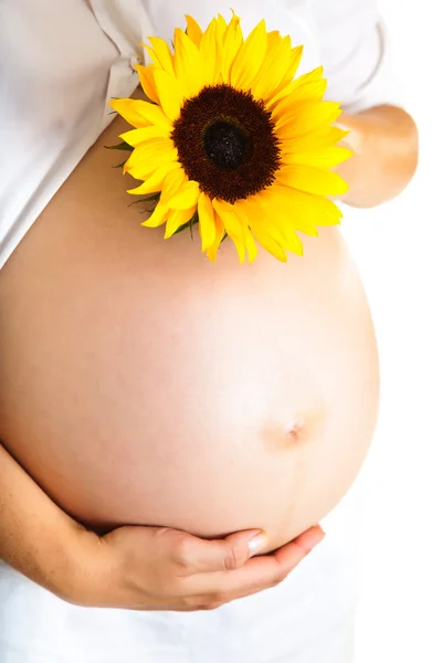 Mujer embarazada sosteniendo girasol aislado en blanco — Foto de Stock