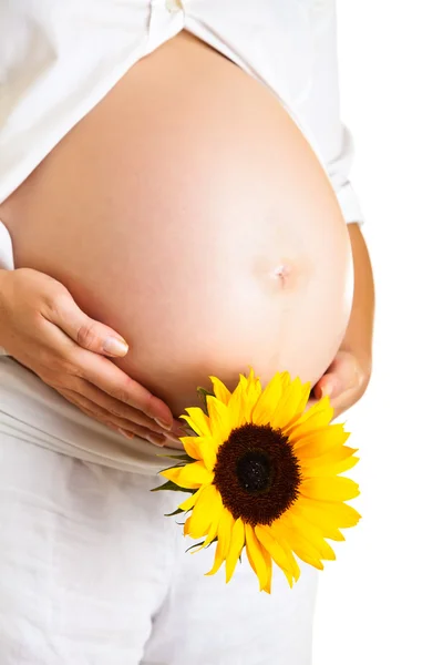 Kobieta w ciąży gospodarstwa słonecznika na białym tle — Zdjęcie stockowe