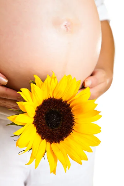 Těhotná žena držící slunečnice izolovaných na bílém — Stock fotografie