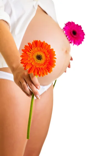 Femme enceinte tenant gerbera fleur isolée sur blanc Images De Stock Libres De Droits
