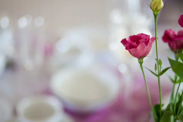 Romantik masa yemekler dekorasyon — Stok fotoğraf