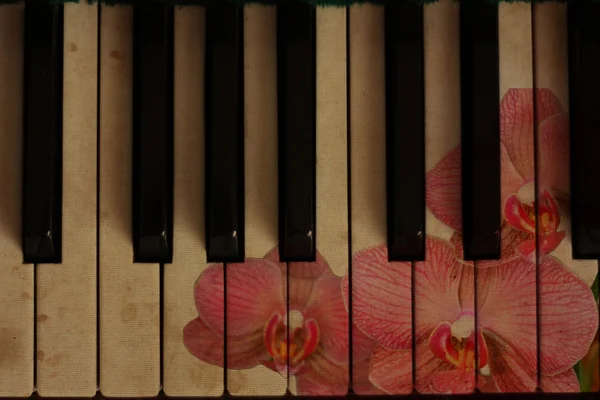 Ретро-музыка и цветочный фон — стоковое фото