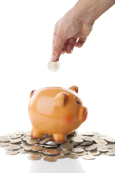 Piggy-bank Stock Picture