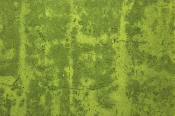 Зеленый фон — стоковое фото
