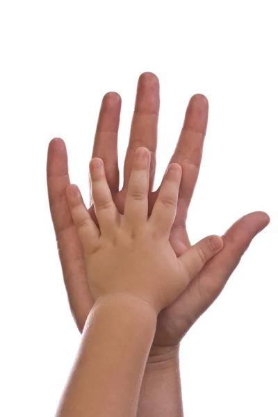 Beyaz eller — Stok fotoğraf