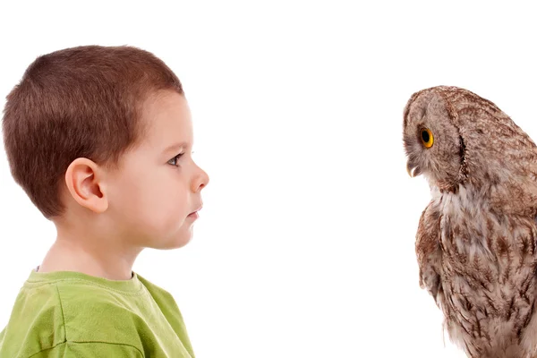 Boy observing owl — Stock Photo, Image
