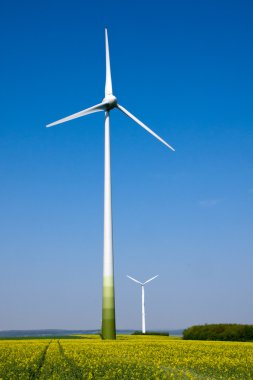 Windwheels and a field of rapeseed clipart