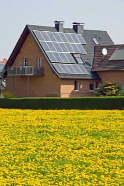 Home with solar panels and yellow dandelion clipart