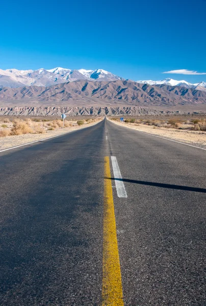 Lange rechte weg in Noord-Argentinië — Stockfoto