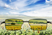 sluneční brýle. koncept - brýle pro chudé vidění.