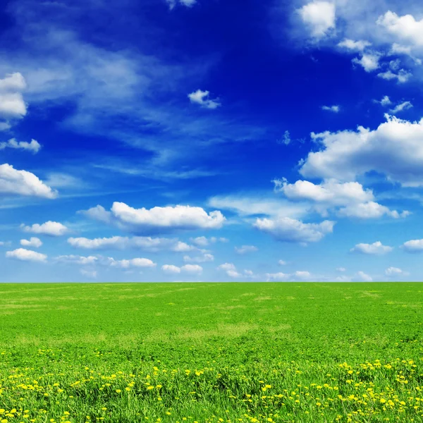 Feld und Wolken — Stockfoto