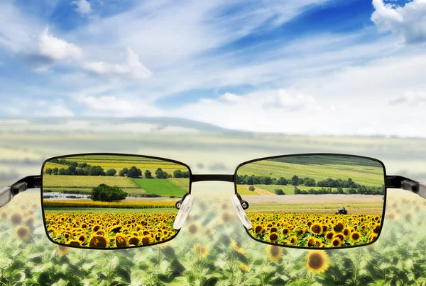 Gafas de sol. Concepto - gafas de sol para una visión deficiente . — Foto de Stock