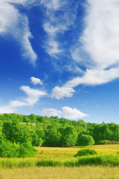 stock image Green field