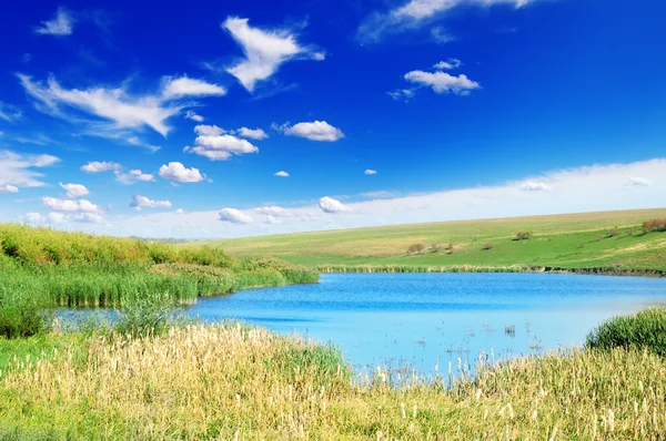 Sjön och gröna fält — Stockfoto