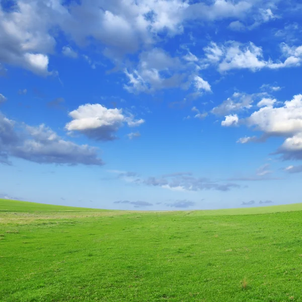 stock image Spring field