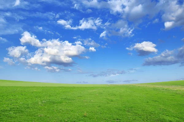 stock image Spring meadow