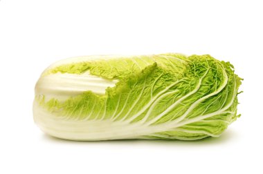 Chinese cabbage clipart