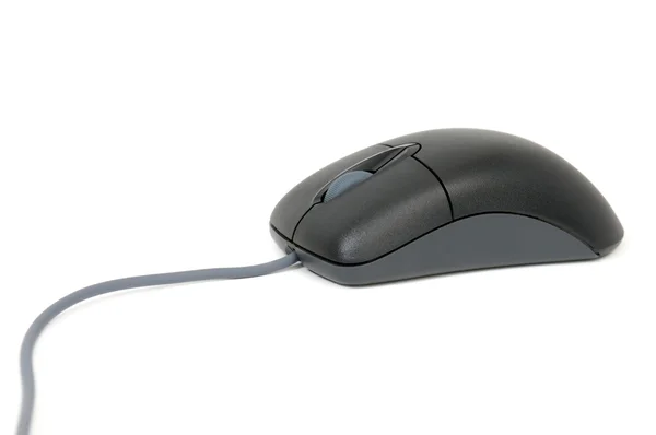 Computer mouse — Stock Photo, Image