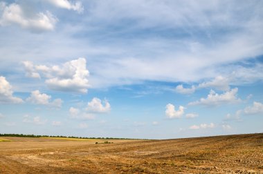 Field and clouds clipart