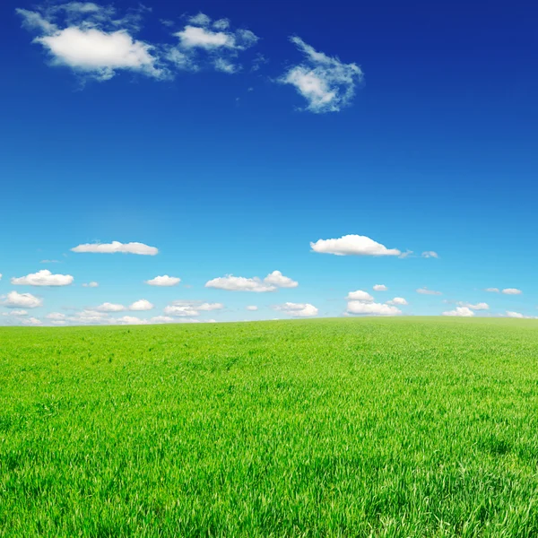 牧草地と青空 — ストック写真