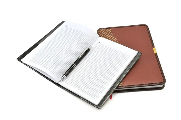 Cuaderno y pluma —  Fotos de Stock